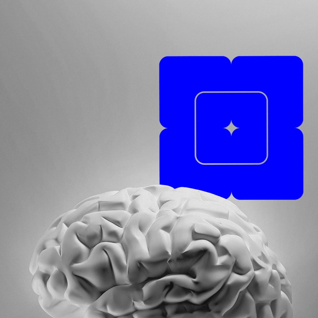 brain